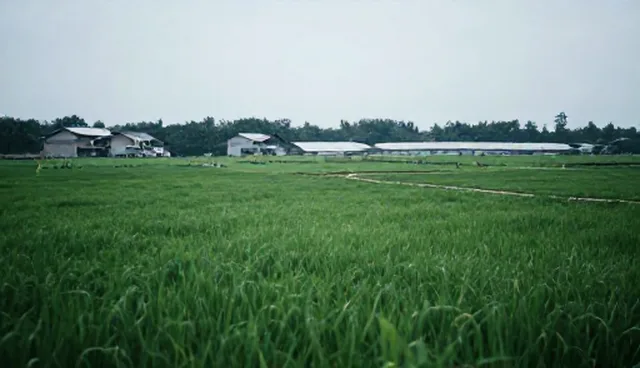 企业信息维护中的选型关注点与行业分类检索应用