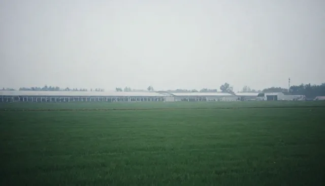 支持按区域:行业精准检索的常见问题与处理方法